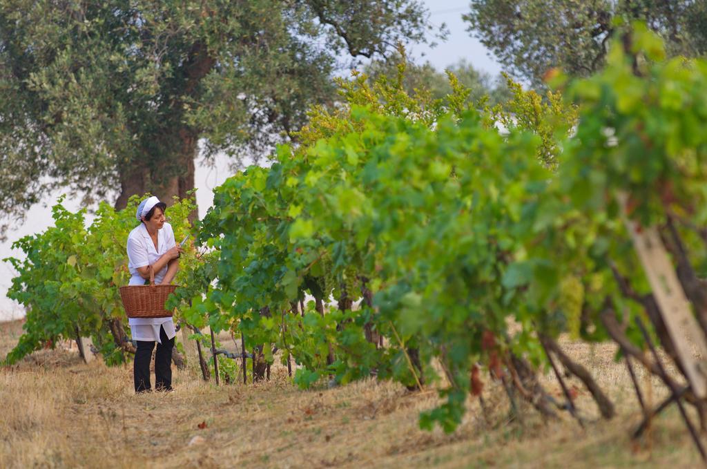 Masseria Il Frantoio Ostuni Exterior photo