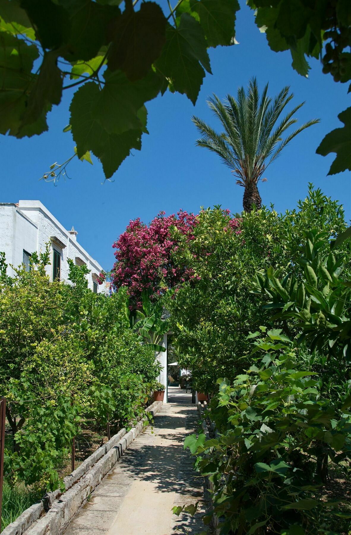 Masseria Il Frantoio Ostuni Exterior photo